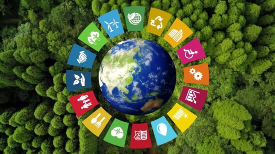 ESG Principles